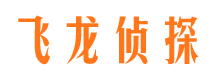 岑巩侦探公司